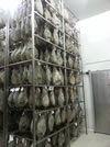 Racks for prosciutto drying